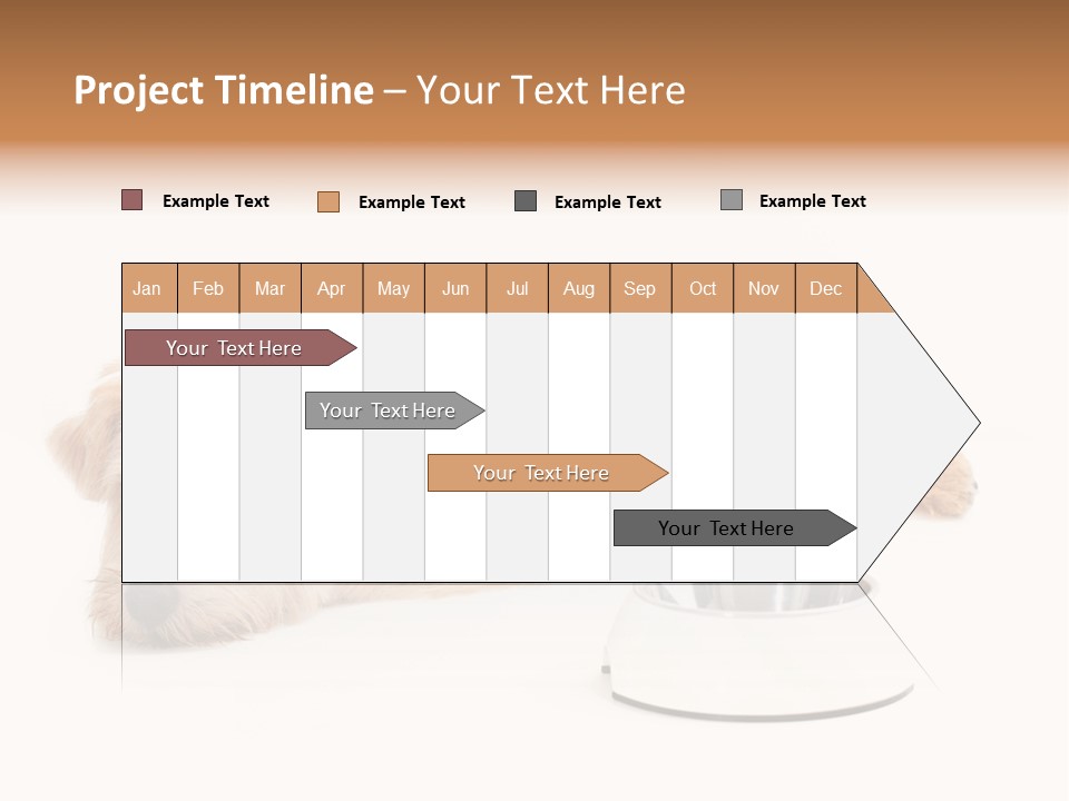 Pet Dish Tongue PowerPoint Template