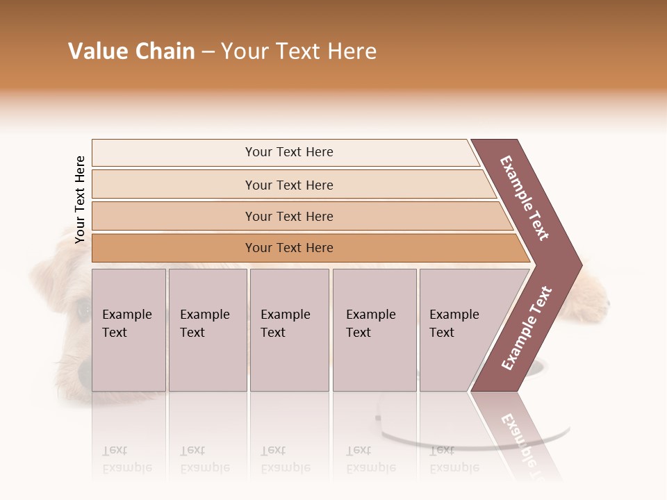Pet Dish Tongue PowerPoint Template