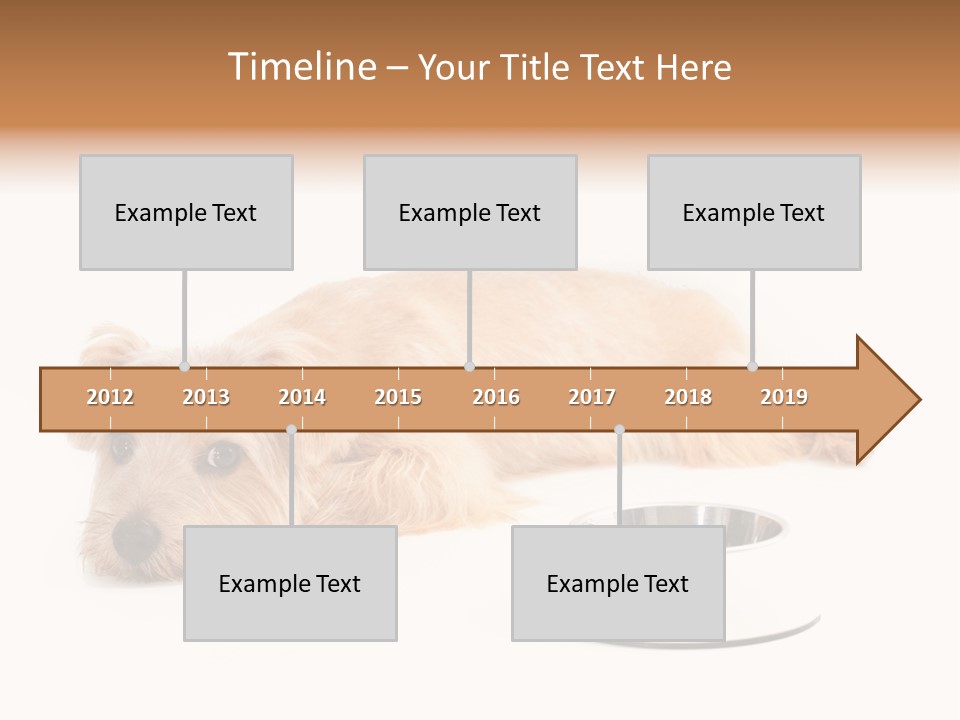 Pet Dish Tongue PowerPoint Template
