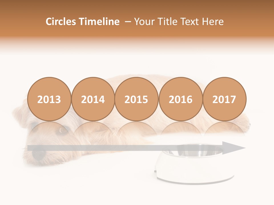 Pet Dish Tongue PowerPoint Template