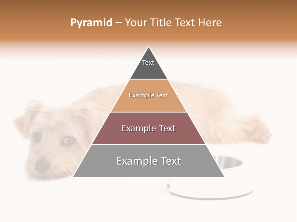 Pet Dish Tongue PowerPoint Template