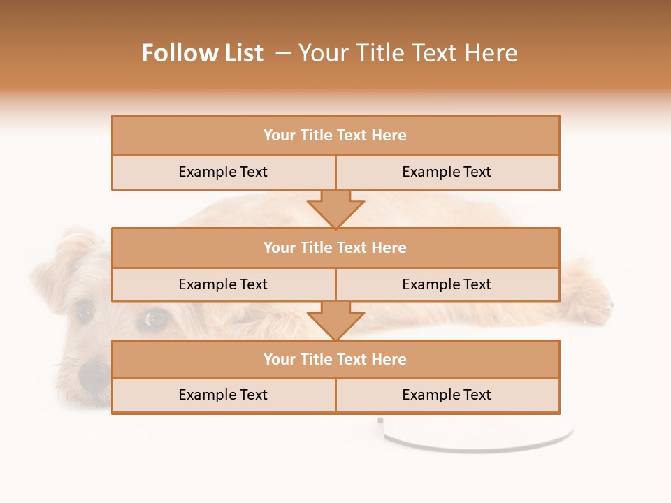 Pet Dish Tongue PowerPoint Template