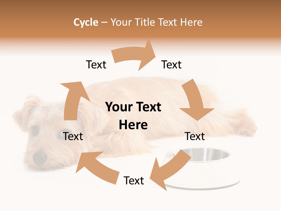 Pet Dish Tongue PowerPoint Template