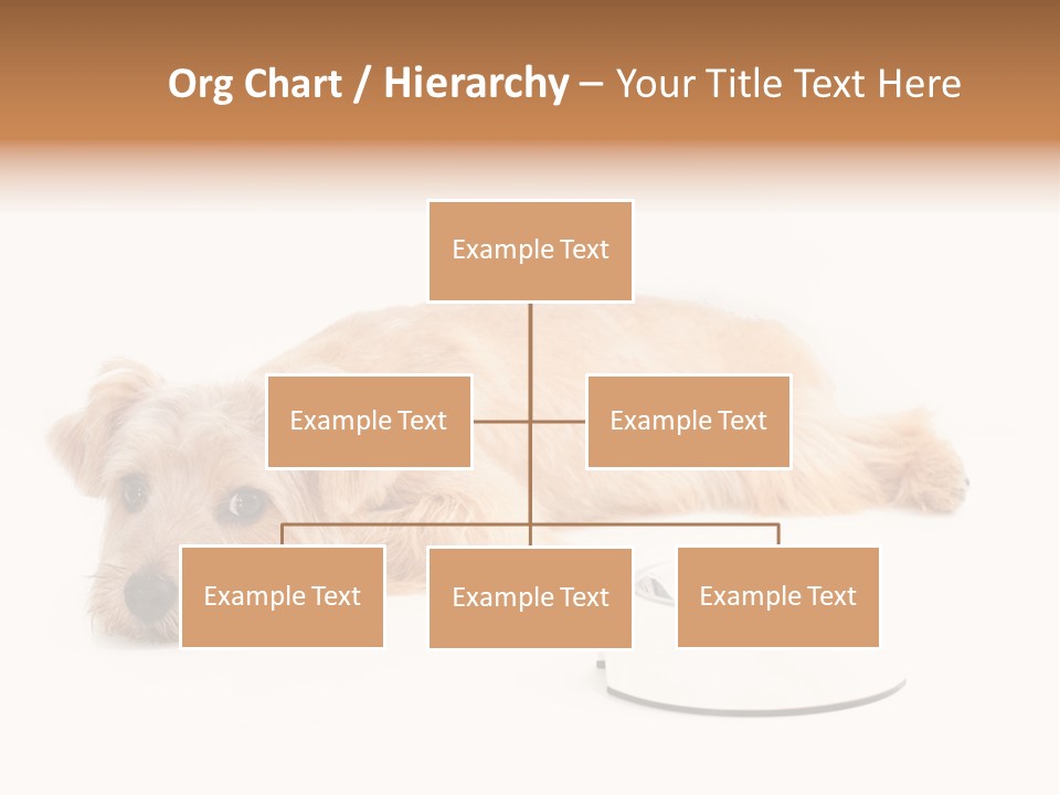 Pet Dish Tongue PowerPoint Template