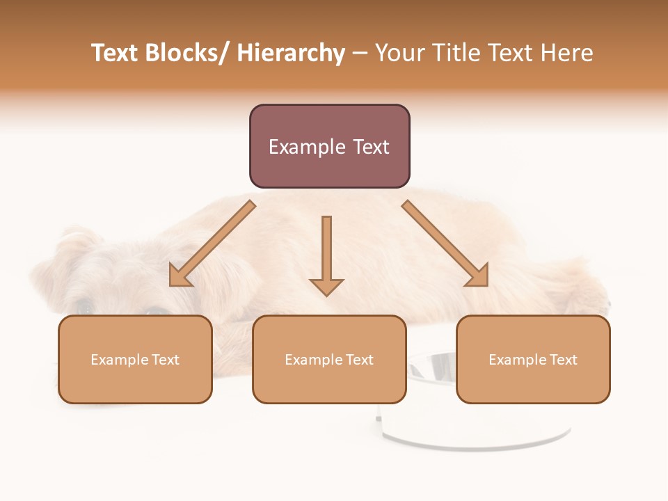 Pet Dish Tongue PowerPoint Template