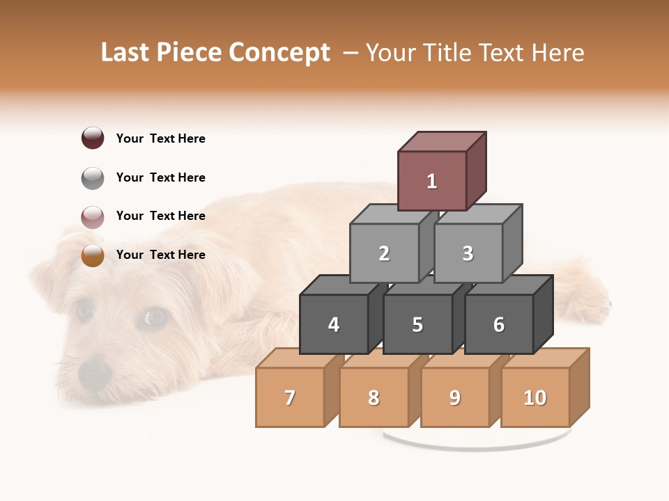 Pet Dish Tongue PowerPoint Template