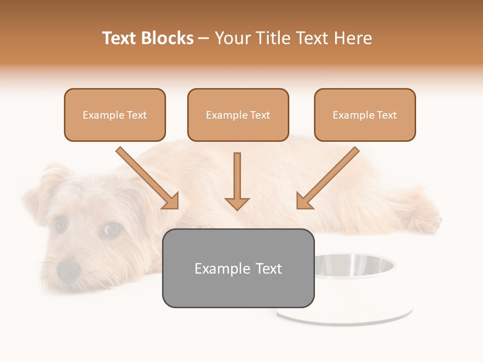 Pet Dish Tongue PowerPoint Template