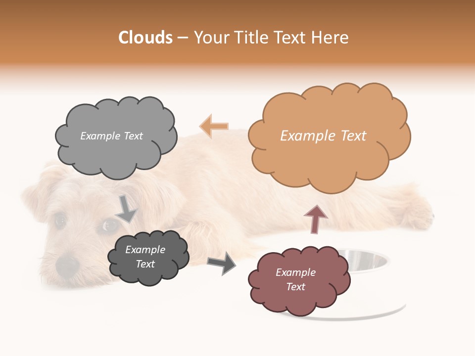 Pet Dish Tongue PowerPoint Template