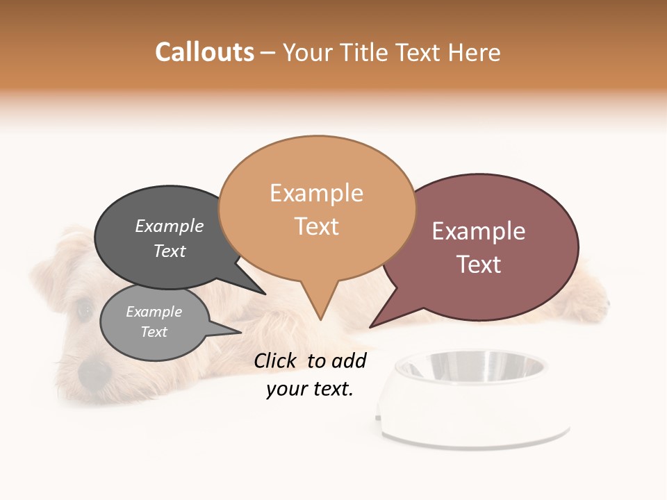 Pet Dish Tongue PowerPoint Template