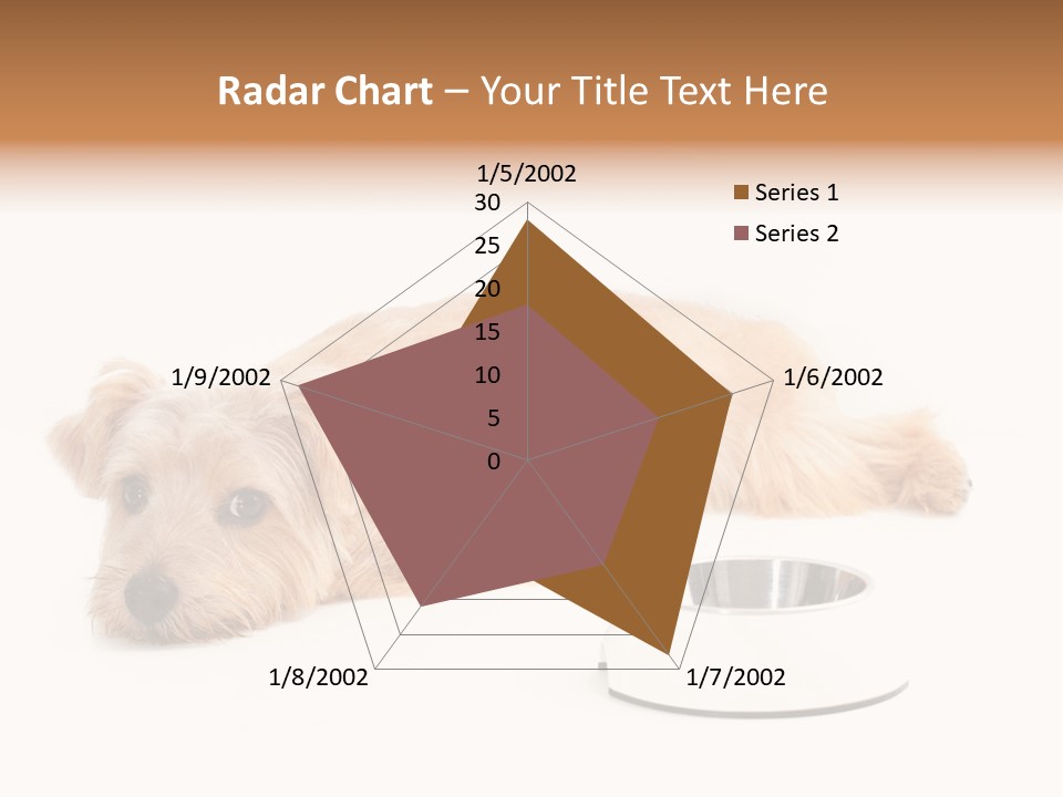 Pet Dish Tongue PowerPoint Template