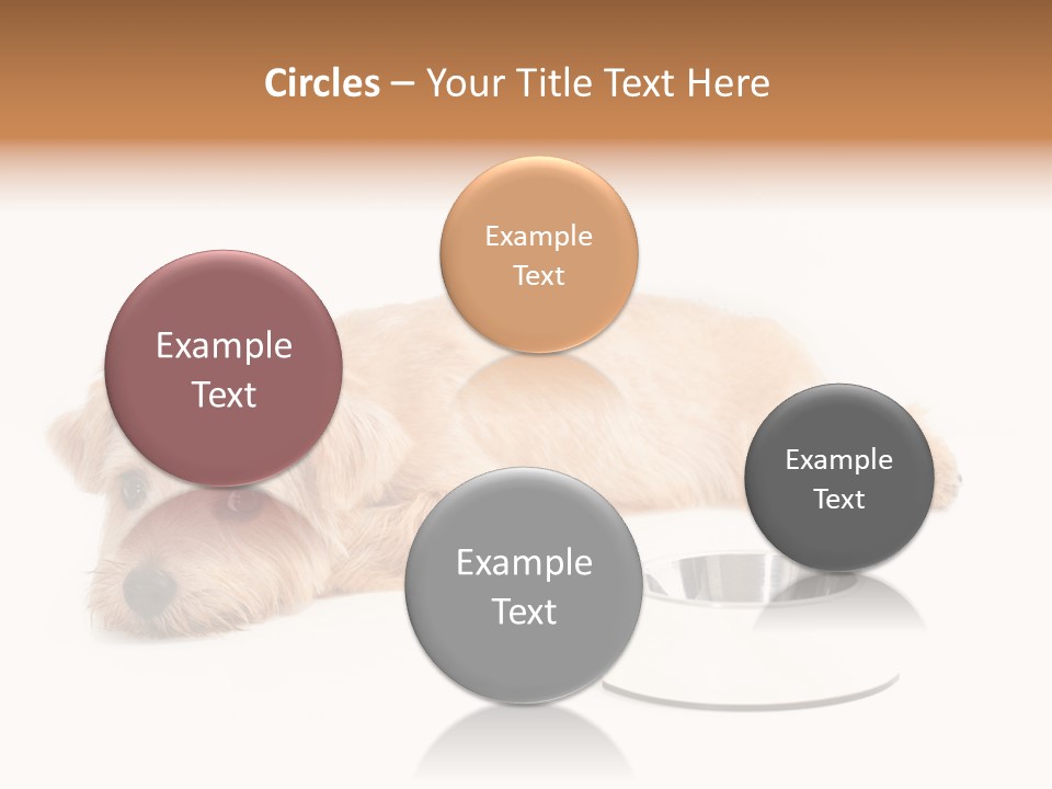 Pet Dish Tongue PowerPoint Template