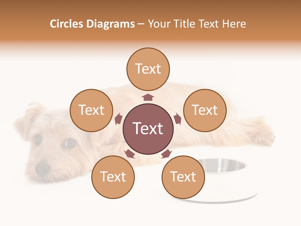 Pet Dish Tongue PowerPoint Template