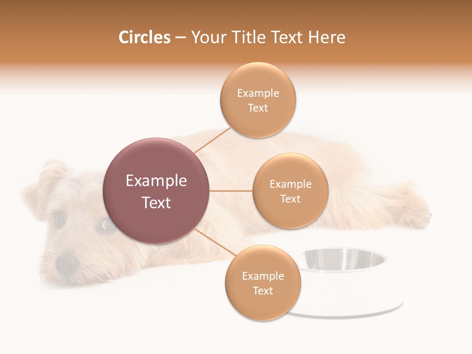 Pet Dish Tongue PowerPoint Template