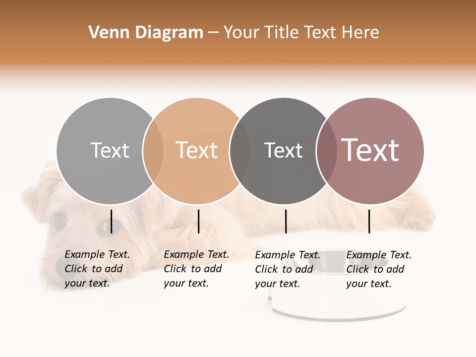 Pet Dish Tongue PowerPoint Template