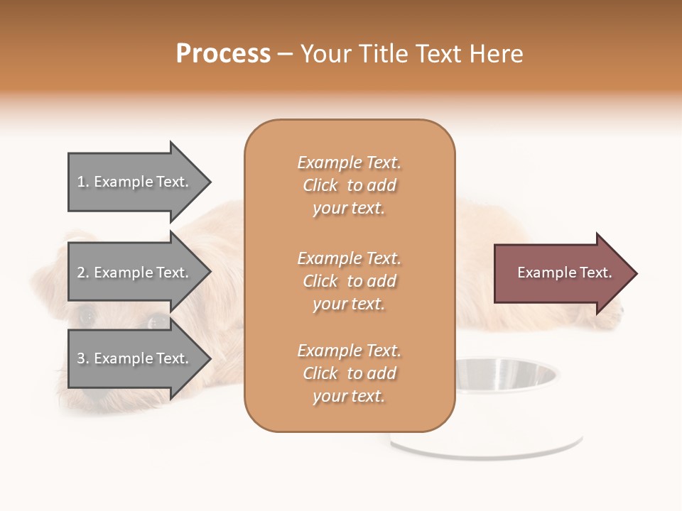 Pet Dish Tongue PowerPoint Template