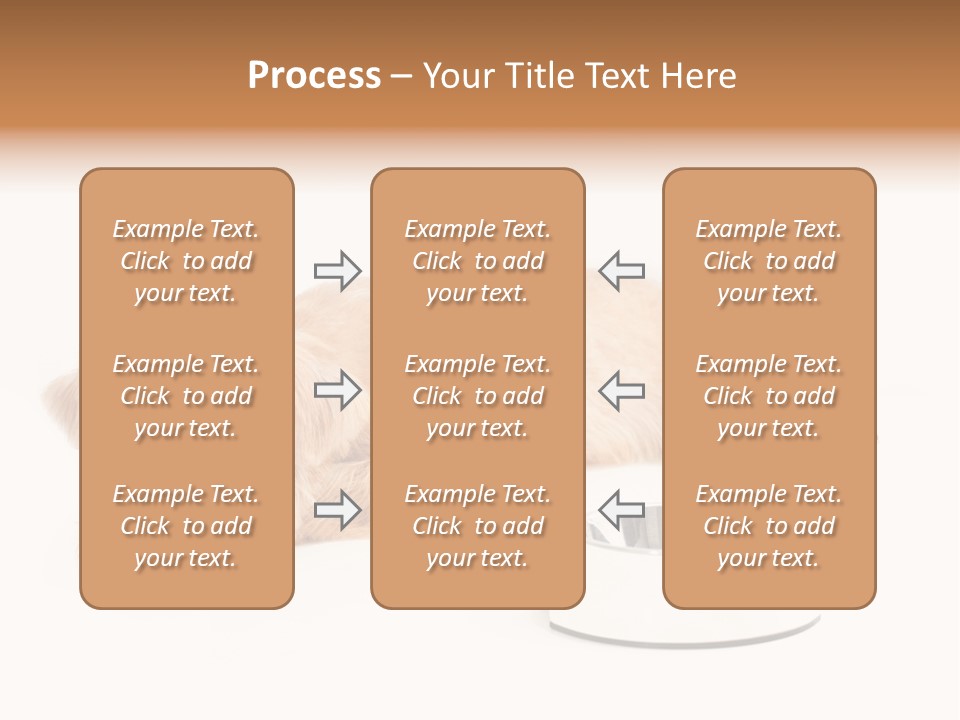 Pet Dish Tongue PowerPoint Template