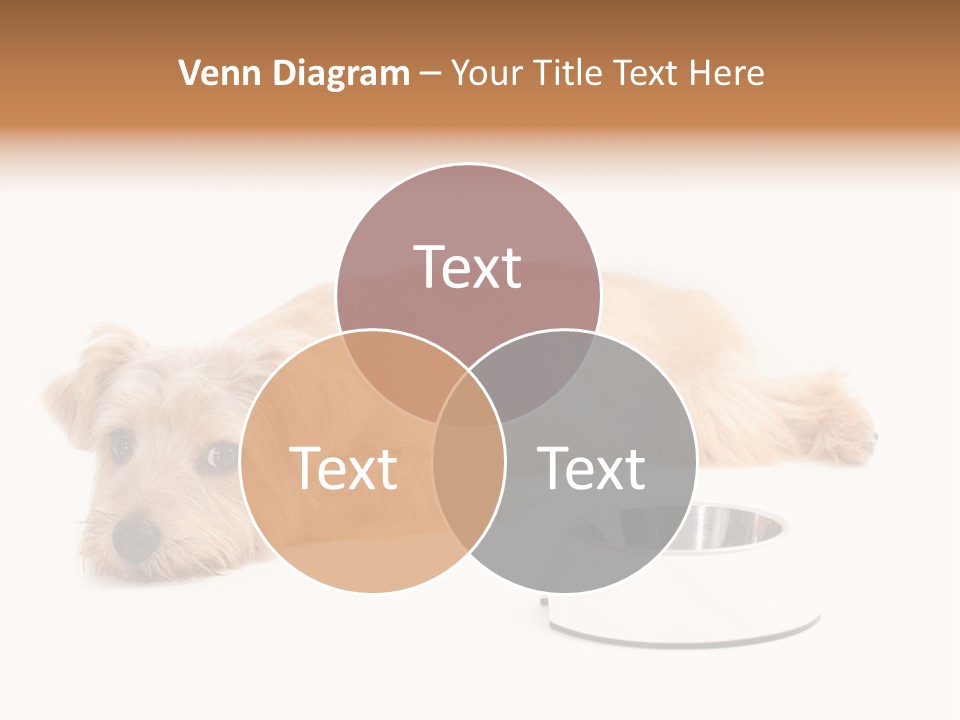 Pet Dish Tongue PowerPoint Template