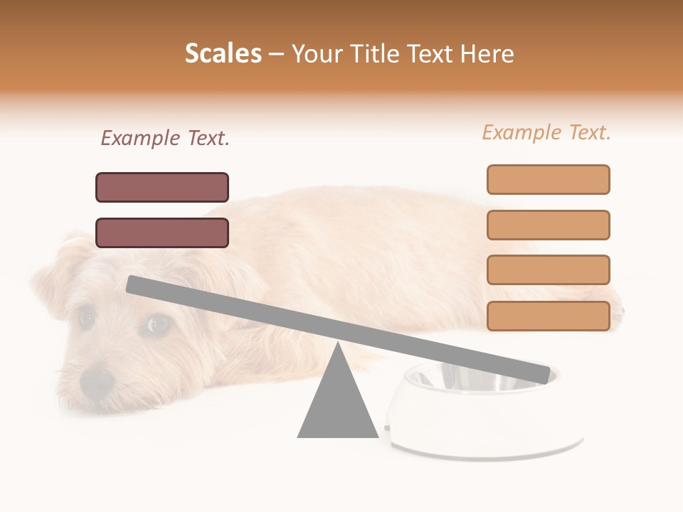 Pet Dish Tongue PowerPoint Template