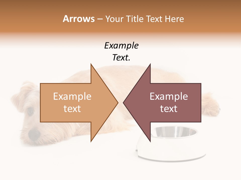 Pet Dish Tongue PowerPoint Template