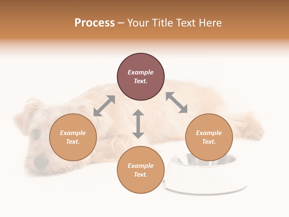 Pet Dish Tongue PowerPoint Template