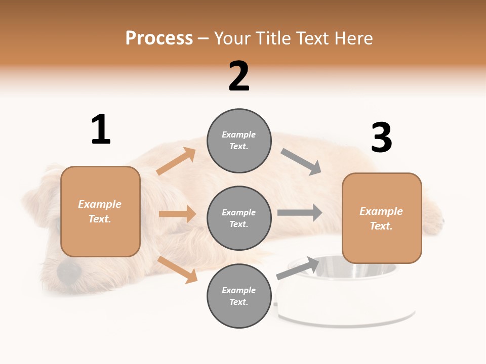 Pet Dish Tongue PowerPoint Template