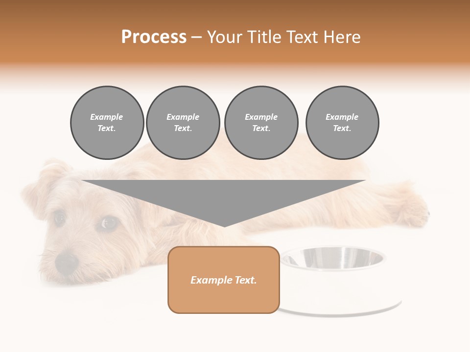 Pet Dish Tongue PowerPoint Template