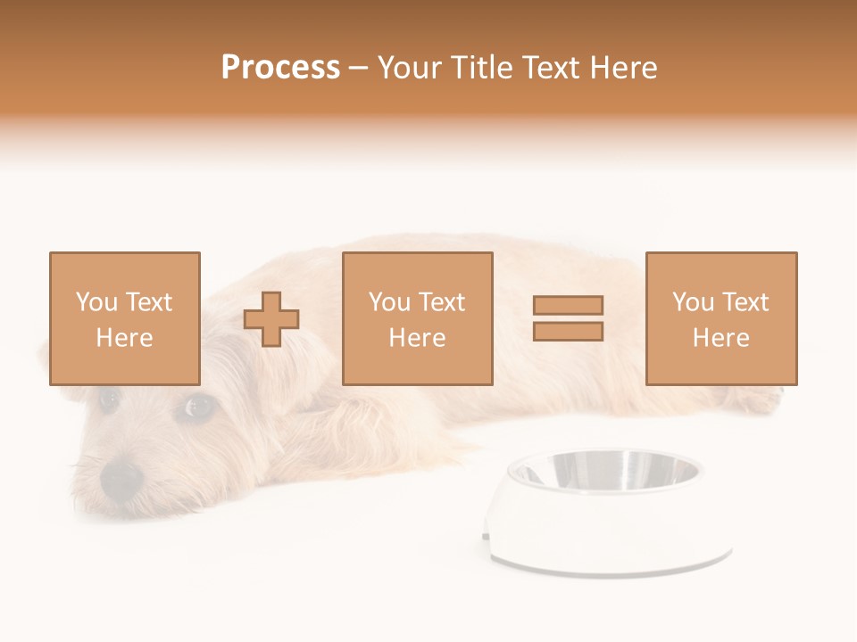 Pet Dish Tongue PowerPoint Template