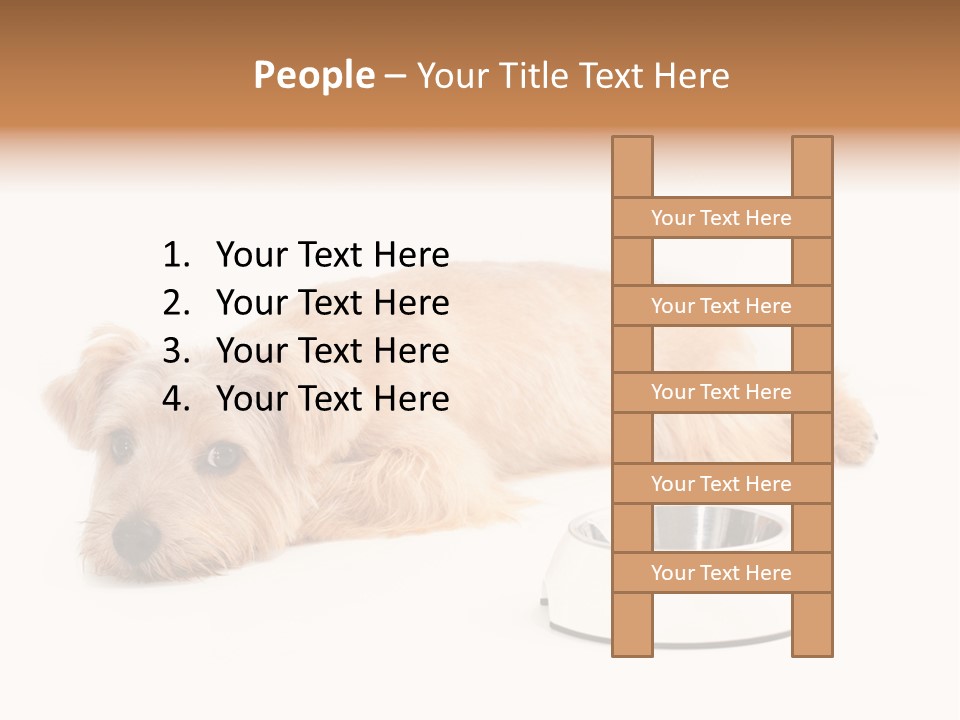 Pet Dish Tongue PowerPoint Template