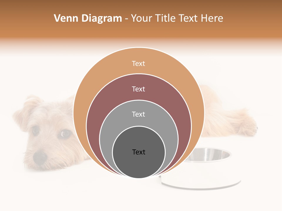 Pet Dish Tongue PowerPoint Template
