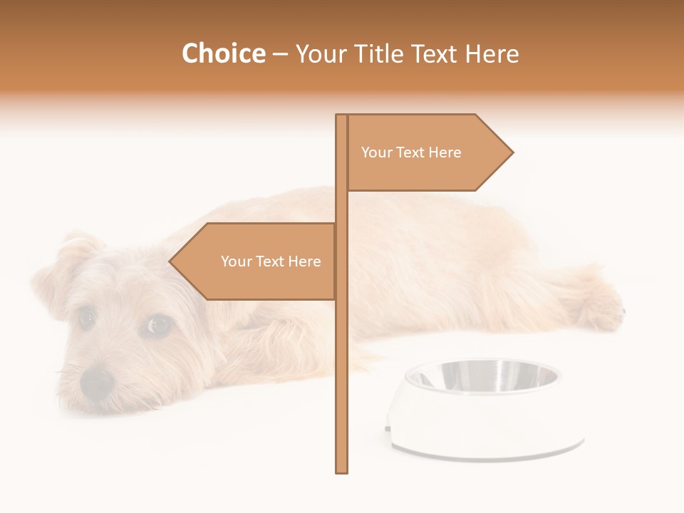 Pet Dish Tongue PowerPoint Template