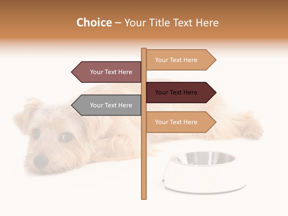 Pet Dish Tongue PowerPoint Template