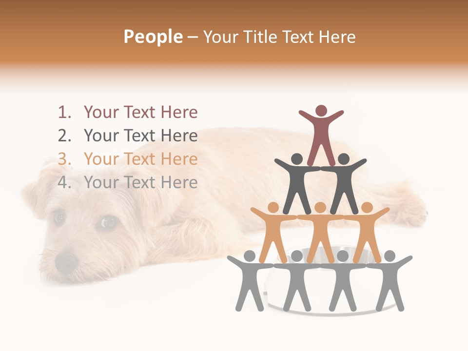 Pet Dish Tongue PowerPoint Template