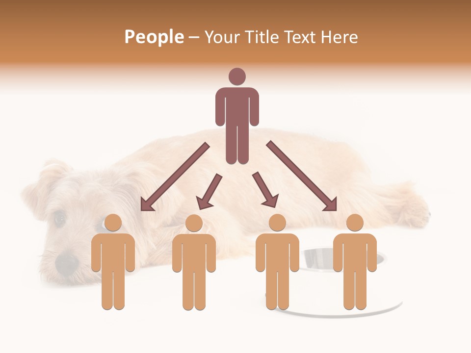 Pet Dish Tongue PowerPoint Template