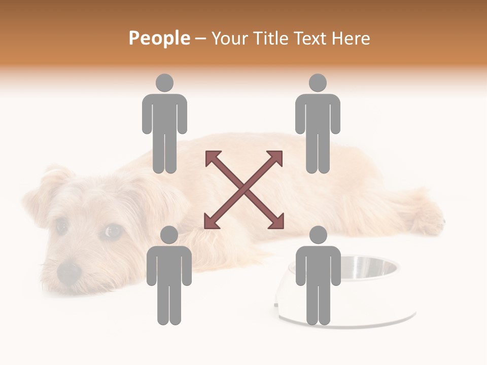 Pet Dish Tongue PowerPoint Template