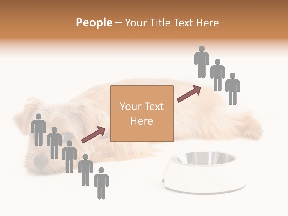 Pet Dish Tongue PowerPoint Template