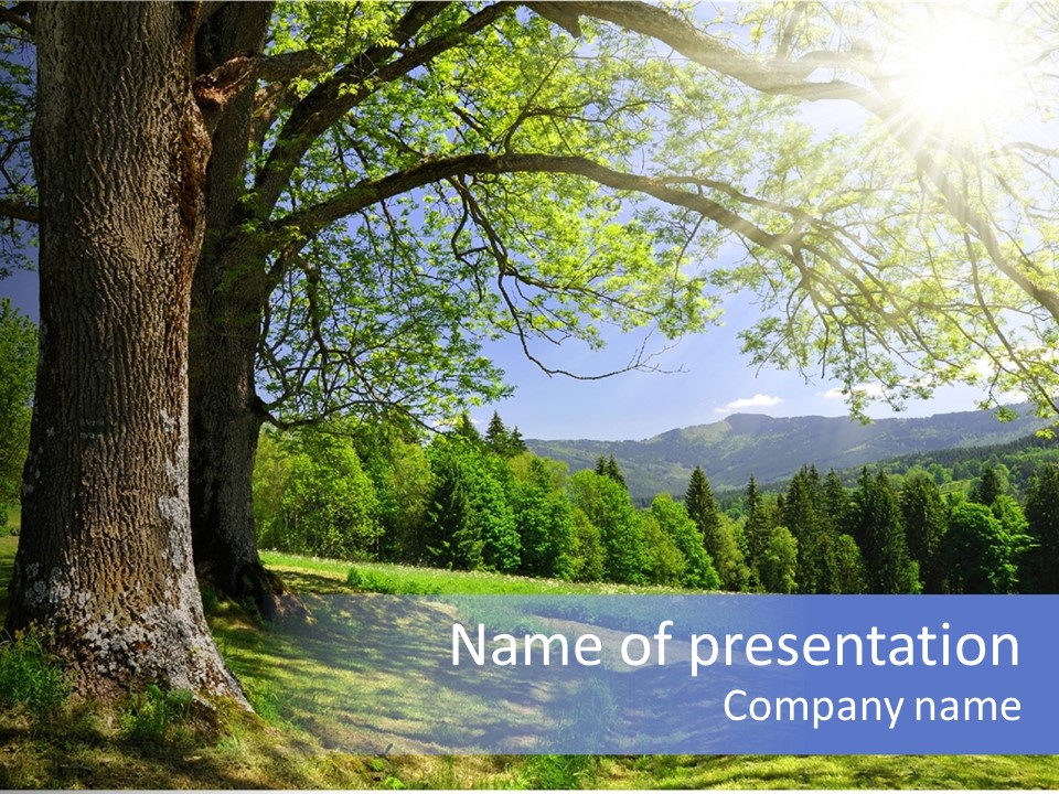 Sumava Mountainous Countryside PowerPoint Template