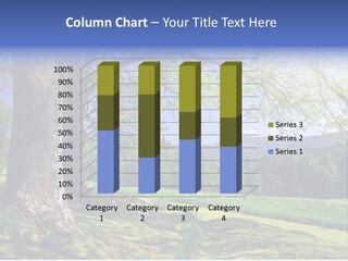 Sumava Mountainous Countryside PowerPoint Template