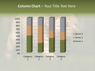 Friendly Helpless Playing PowerPoint Template