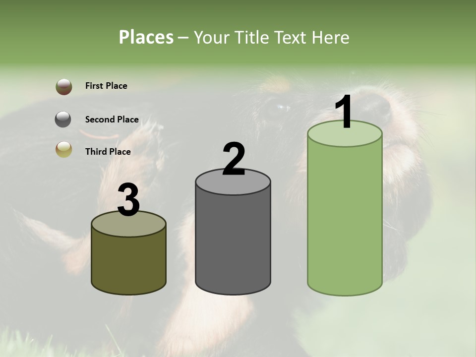 Scratch Puppydog Dog PowerPoint Template