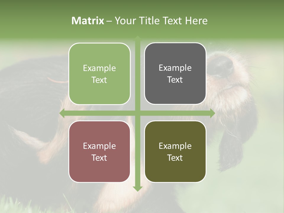 Scratch Puppydog Dog PowerPoint Template