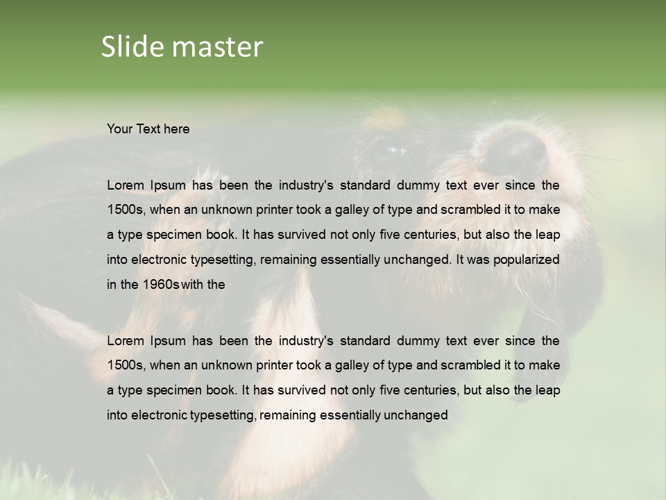 Scratch Puppydog Dog PowerPoint Template