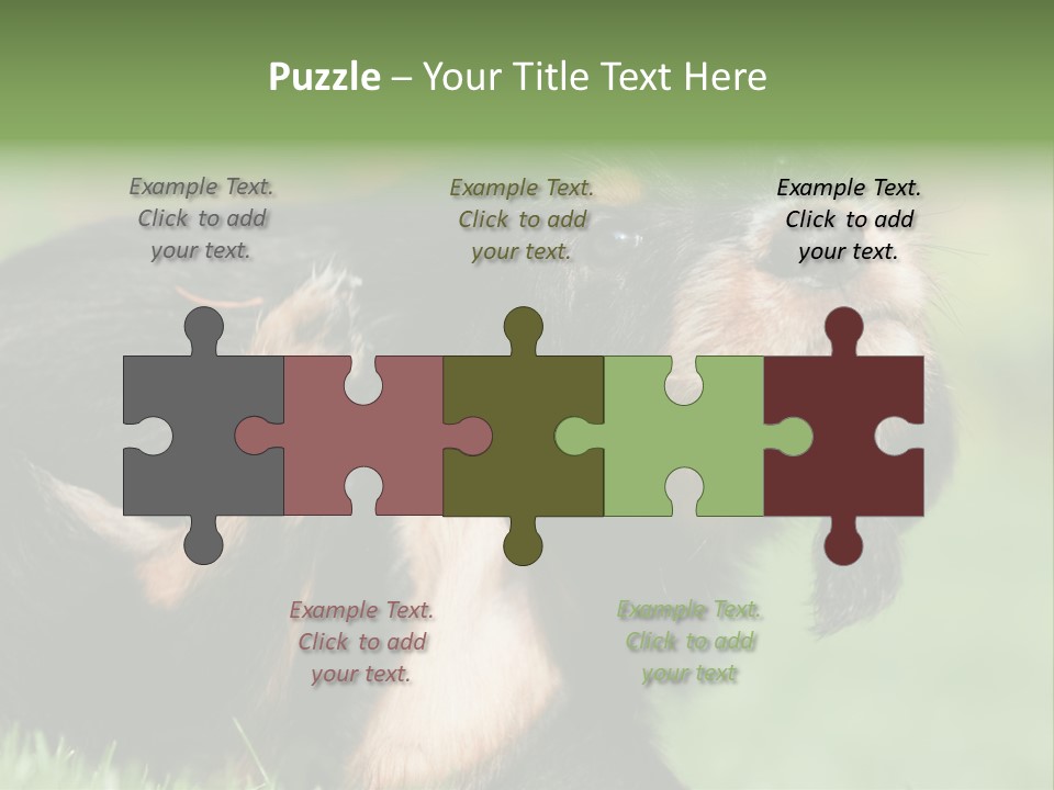 Scratch Puppydog Dog PowerPoint Template