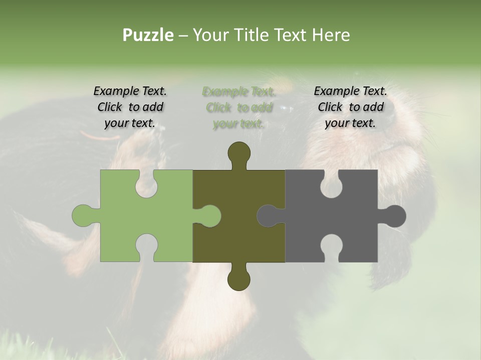 Scratch Puppydog Dog PowerPoint Template