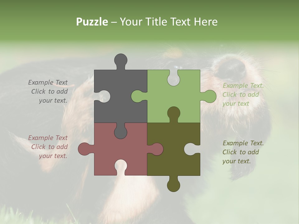 Scratch Puppydog Dog PowerPoint Template
