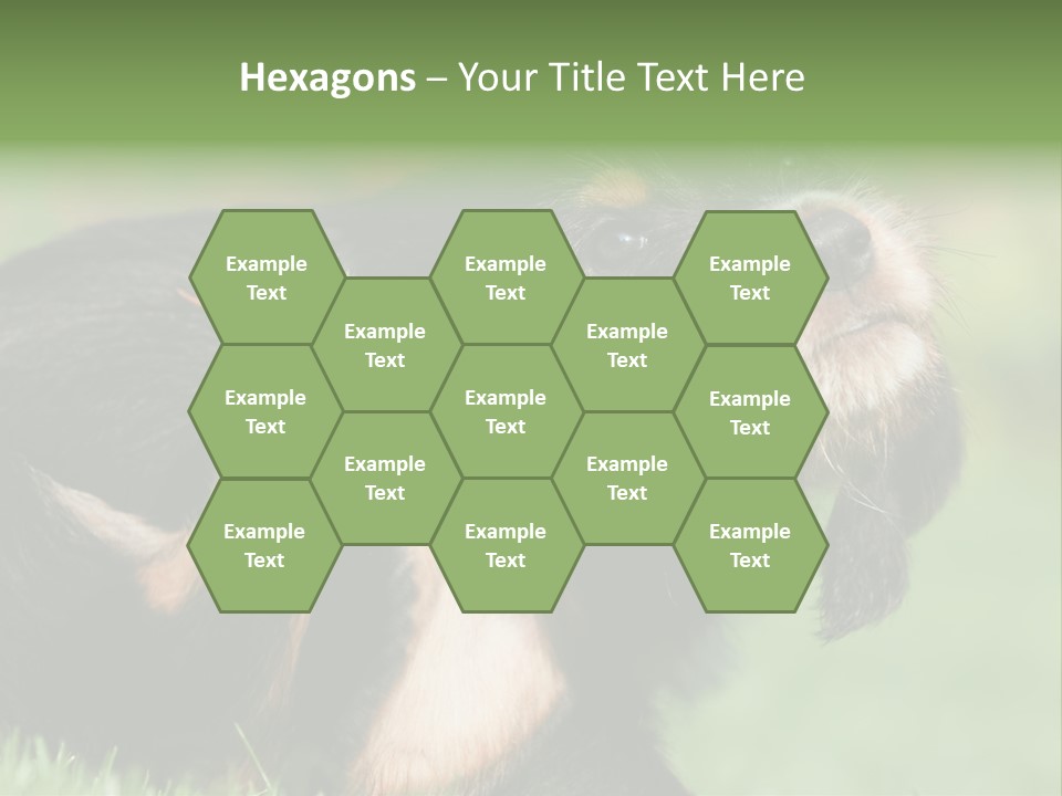 Scratch Puppydog Dog PowerPoint Template