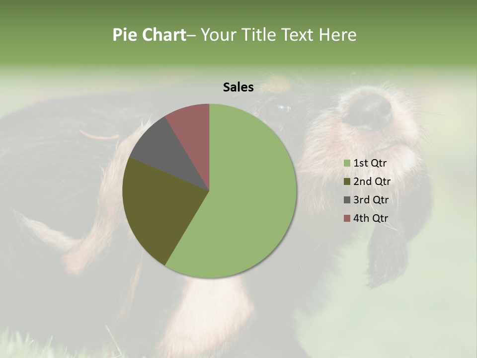 Scratch Puppydog Dog PowerPoint Template