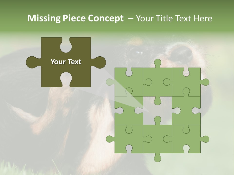 Scratch Puppydog Dog PowerPoint Template