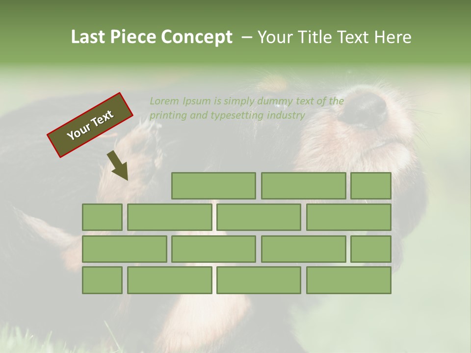 Scratch Puppydog Dog PowerPoint Template