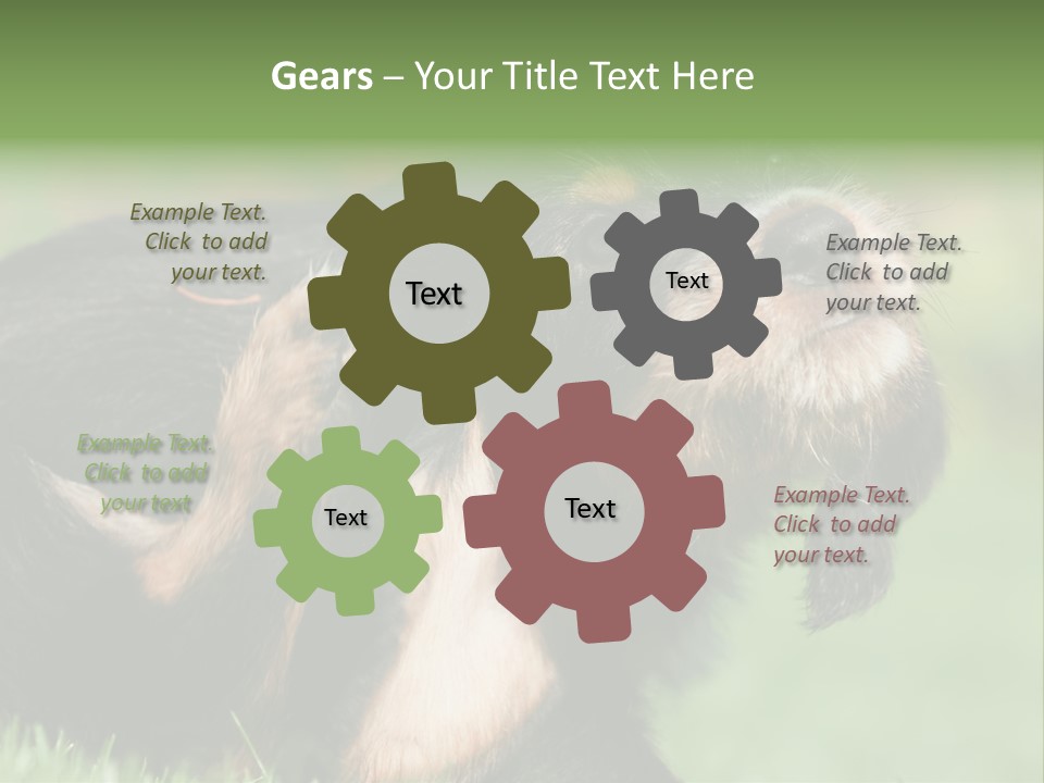 Scratch Puppydog Dog PowerPoint Template