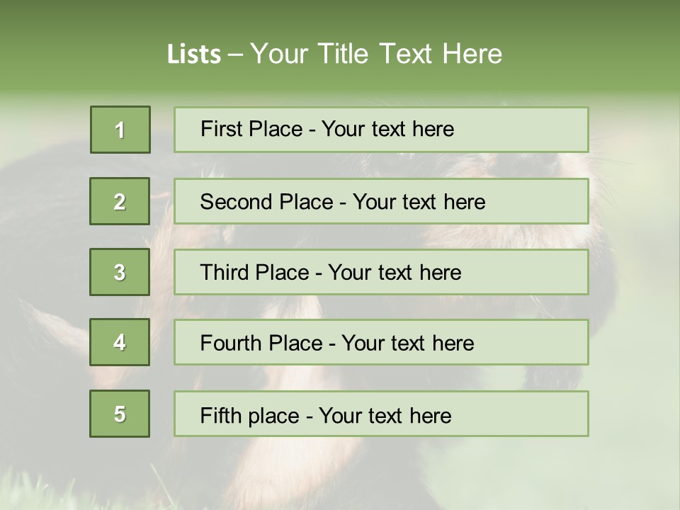 Scratch Puppydog Dog PowerPoint Template